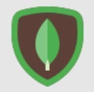 MongoDB Logo